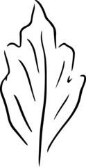 black outline of autumn leaves sketch icons