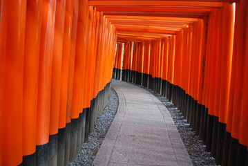 Red Torii Gates in Kyoto, Japan. The Path of Wishes and Prayers beyond Senbon Torii