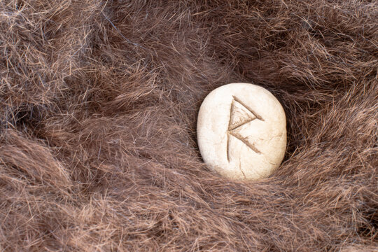 Raido or Raidho Nordic stone rune on animal fur. Letter Raed of the Viking alphabet.