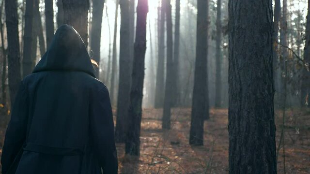 Wanderer in Black Cloak Cowl Walks Through Misty Forest. Wandering Monk Pilgrim. Autumn Morning. Mysterious Traveler. 2x Slow motion 60 fps 4K
