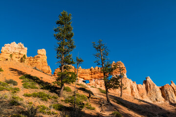Turret Arch and Little Wall of Windows, Bryce Canyon National Park, Utah, USA © Billy McDonald