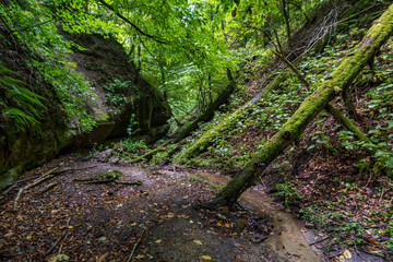 Spetzgart and Hodinger Tobel on Lake Constance near Sipplingen and Uberlingen