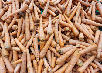Vegetable background with lots of carrots