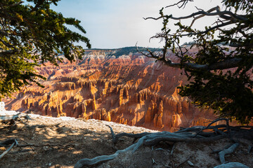 Bristlecone Pine Tree and The Red Rock Spires of The Amphitheater at Spectra Point, Cedar Breaks National Monument, Utah, USA