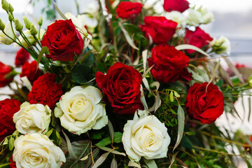 Red and white roses, bouquet on a white background with space for text