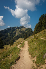 Naklejka premium Wanderweg mit Blick zum Steineberg auf der Nagelfluhkette in den Allgäuer Alpen