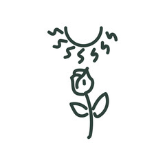 rose flower under sun line style icon vector design