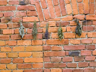Herbs on bricks - obrazy, fototapety, plakaty