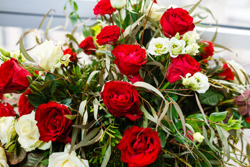 Red and white roses, bouquet on a white background with space for text