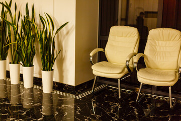 Luxury hotel lobby interior, lounge zone with tho white leather armchairs and green plants in pots