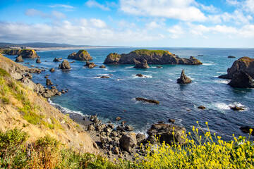Northern California coastline.