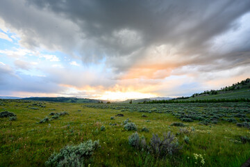 Afternoon Light Fades into Sunset in Yellowstone