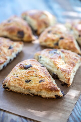 Chocolate Chip Scone Stands Out from Group
