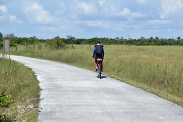 Bike Path Through Florida Wetlands