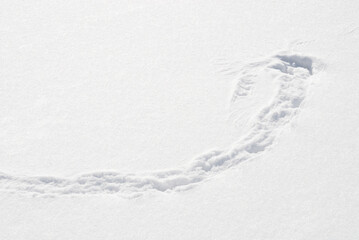 冬　雪　素材