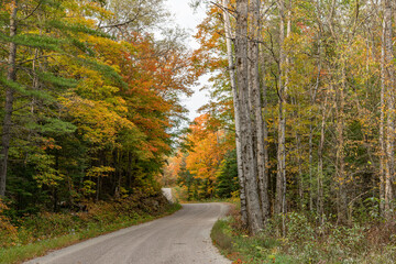 Fall Winding road landscape