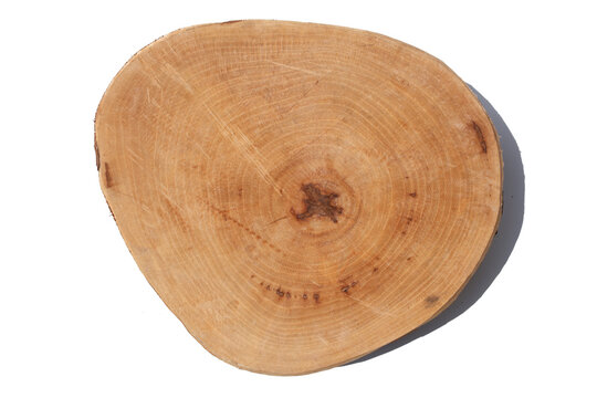 A piece of wood on a white background