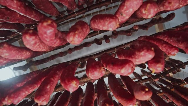 In smokehouse organic pork sausage sticks hanging for smoking. Manufacturing sausages and domestic salami sticks. Close-up shot. Delicious scene.