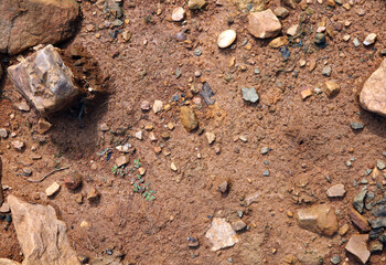 Wet ground, yellow soil, there are many small stones, details of the texture