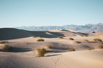 Dunes in the Desert