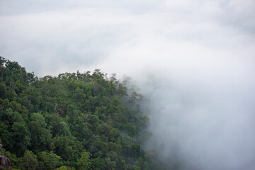 Fototapeta na wymiar misty forest Foggy morning mist in valley beautiful in Thailand Asian / Misty landscape mountain fog and forest tree view on top Aerial view