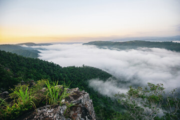 Misty mountain forest landscape in the morning sunrises fog and forest tree view on top Foggy morning mist in valley beautiful sky in Thailand Asian