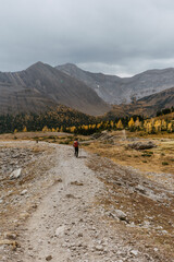 Adventurous man/hiker hiking Mount Arenthusa trail in Kananaskis Country, Alberta, Canada. Golden larches trees, seasonal landscape view.