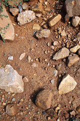 Wet ground, yellow soil, there are many small stones, details of the texture