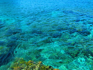 東京都･小笠原諸島･母島･万年青浜