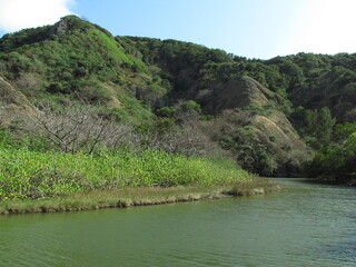 東京都･小笠原諸島･父島