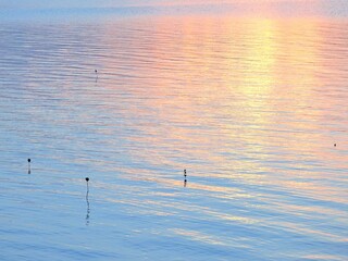 沖縄県･西表島の夕日