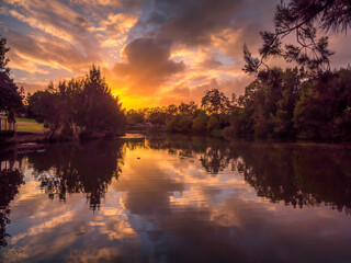 Beautiful Lakeside Sunrise with Waterbirds and Reflections