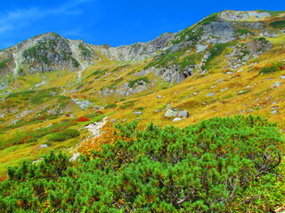 北アルプス･笠ヶ岳