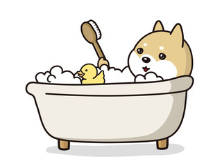 アヒルの玩具と泡風呂に入浴中の子犬　柴犬