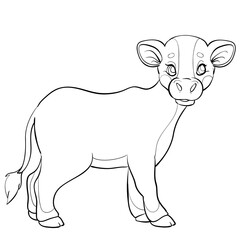 young calf sketch, coloring, isolated object on white background, vector illustration,