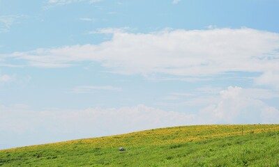 長野県･霧ヶ峰