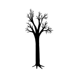 full length black silhouette of a tree. vector illustration of autumn tree (without leaves)