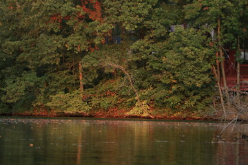 Fall colors on a lake