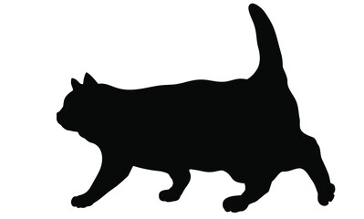 Vector silhouette of the cat - Isolated on white background　猫のベクターイラスト