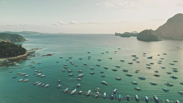 Aerial tropic harbor with boats, ships, vessels at ocean coast. Philippines marina port at sand beach. Epic summer seascape at island of Palawan, Asia. Cinematic soft light drone shot