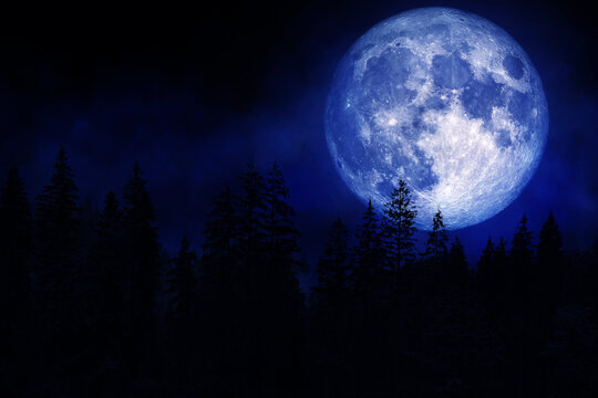 Landscape view of Forest in the dark and fog or mist with full moon in blue lighting background. (Elements of this image furnished by NASA.)
