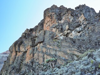 キリマンジャロ登山