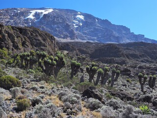 キリマンジャロ登山