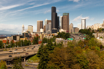 Fototapeta premium city skyline