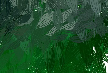 Dark Green vector texture with abstract forms.