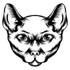 The tattoos of the sphinx cat with black outline