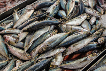 Tuna fish bundke sell in seafood market