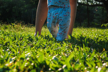 Little boy first walking on green grass