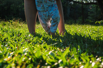 Fototapeta na wymiar Little boy first walking on green grass