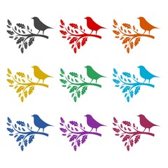 Bird on a branch silhouette icon, color set